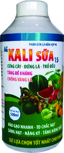 KALI SỮA